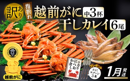 「訳あり 指折れ 越前がに(中)3杯」+ 「干しカレイ 6尾」[1月発送分] 食べ方しおり かにスプーン付き[雄 ズワイガニ ずわいがに 越前ガニ 姿 ボイル 冷蔵 福井県]希望日指定可 備考欄希望日をご記入ください [e15-x007_01]