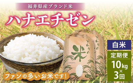 定期便≪3ヶ月連続お届け≫ハナエチゼン 10kg × 3回 令和6年 福井県産[白米][お米 華越前 計30キロ] [e30-e003]