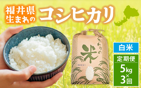 定期便≪3ヶ月連続お届け≫コシヒカリ 5kg × 3回 令和6年 新米 福井県産[白米][お米 こしひかり 計15キロ 人気品種] [e30-c011]