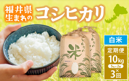 定期便≪3ヶ月連続お届け≫コシヒカリ 10kg × 3回 令和6年 福井県産[白米][お米 計30キロ 人気品種] [e30-e005]