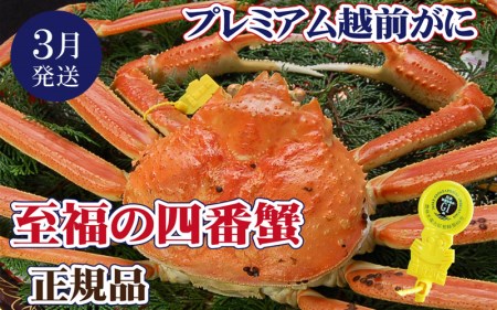越前がに本場の越前町からお届け! 越前がに × 1杯(四番蟹)至福のプレミアム[3月発送分][かに カニ 蟹][福井県 越前町 雄 ズワイガニ 生 ボイル 冷蔵 ガニ か カニ ずわいがに ずわい か ][浜茹でお届け]希望日指定可 備考欄希望日をご記入ください [e37-x003_03b]