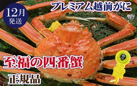 zOɖ{̉zO炨͂I zO × 1tilԊIj̃v~AzOɁy12zy Jj Izy䌧 zO Y YCKj  {C ① zOKj zO