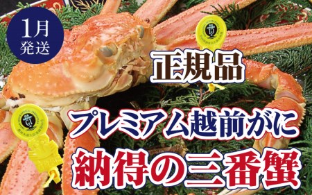 zOɖ{̉zO炨͂I zO × 1tiOԊIj[̃v~AzOɁy1zy Jj Izy䌧 zO Y YCKj  {C ① zOKj zO z