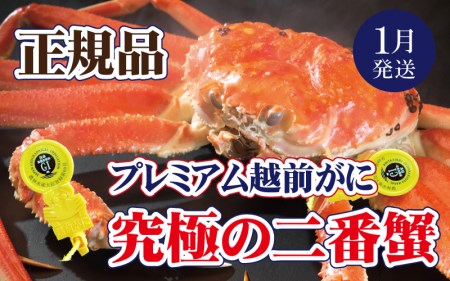 zOɖ{̉zO炨͂I zO × 1tiԊIjɂ̃v~AzOɁy1zy Jj Izy䌧 zO Y YCKj  {C ① zOKj zO z
