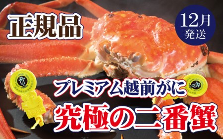 zOɖ{̉zO炨͂I zO × 1tiԊIjɂ̃v~AzOɁy12zy Jj Izy䌧 zO Y YCKj  {C ① zOKj zO