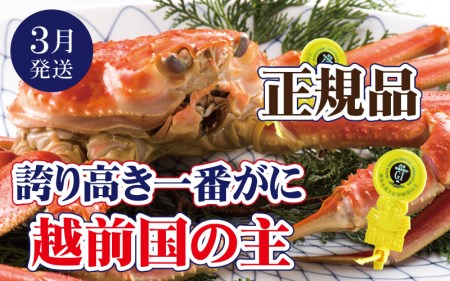 yzO̎z zOI zOɕl䥂ŁuԊIv1t [e37-x006_03b]