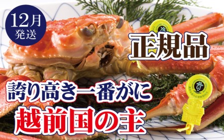 zO × 1tiԊIjzO̎IzOɂ̏ےy12zyY YCKj 킢 p  {C ① 䌧zyl䥂ł͂z]w lɊ]L