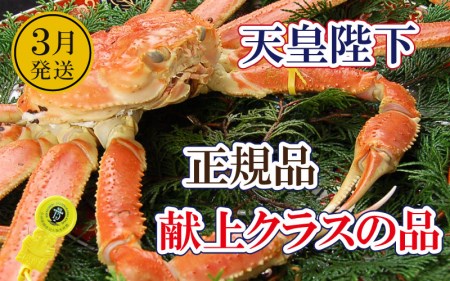 誉れ高き越前がに「皇室献上級」 × 1杯 桐箱入り![3月発送分][雄 ズワイガニ ずわいがに 姿 生 ボイル 冷蔵 福井県][浜茹でお届け]希望日指定可 備考欄に希望日をご記入ください [e37-x011_03b]