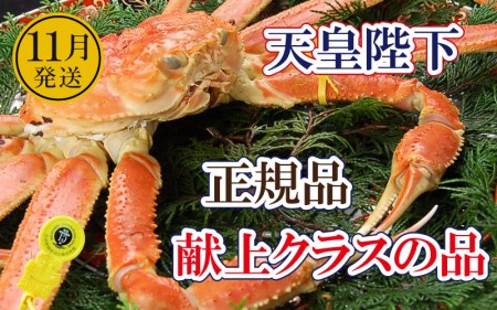 _ꍂzOɁuc㋉v × 1t ˔Iy11zyY YCKj 킢 p  {C ① 䌧zyl䥂ł͂z]w lɊ]L [