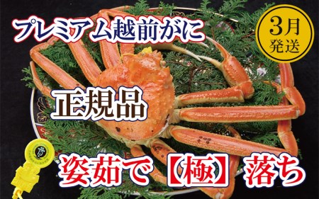 越前がに「極落ち」 × 1杯 桐箱入り!越前の至宝 最高ランクのプレミアムがに[3月発送分][雄 ズワイガニ ずわいがに 姿 生 ボイル 冷蔵 福井県][浜茹でお届け]希望日指定可 備考欄希望日をご記入ください [e37-x012_03b]