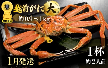 zOɖ{̉zO炨͂IzO l䥂 TCYiŖ0.9`1kgj × 1ty1z2lO H׉Iy Jj Izy䌧 zO Y YCKj {C ① zO
