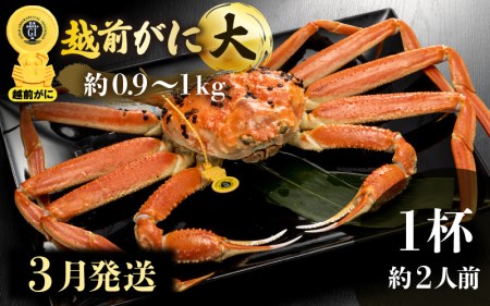 zOɖ{̉zO炨͂IzO l䥂 TCYiŖ0.9`1kgj × 1ty3z2lO H׉Iy Jj Izy䌧 zO Y YCKj {C ① zO
