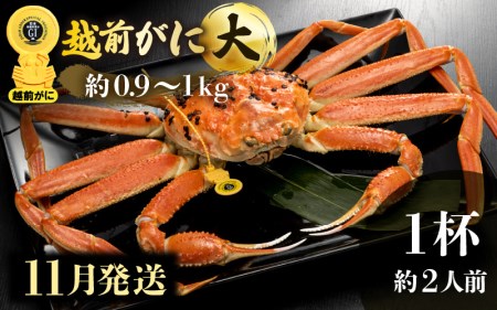 zOɖ{̉zO炨͂IzO l䥂 TCYiŖ0.9`1kgj × 1ty11z2lO H׉Iy Jj Izy䌧 zO Y YCKj {C ① z