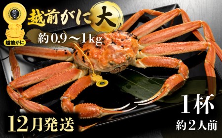 zOɖ{̉zO炨͂IzO l䥂 TCYiŖ0.9`1kgj × 1ty12z2lO H׉Iy Jj Izy䌧 zO Y YCKj {C ① z