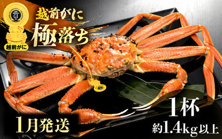zOɖ{̉zO炨͂I zO l䥂 ɗiŖ1.4kgȏj × 1ty1zH׉|[Iy Jj Izy䌧 zO Y YCKj {C ① zOK