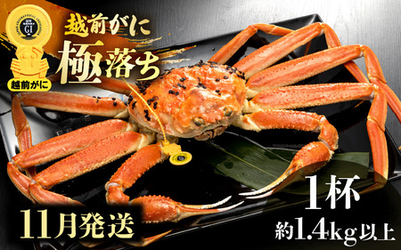 zOɖ{̉zO炨͂I zO l䥂 ɗiŖ1.4kgȏj × 1ty11zH׉|[Iy Jj Izy䌧 zO Y YCKj {C ① zOK