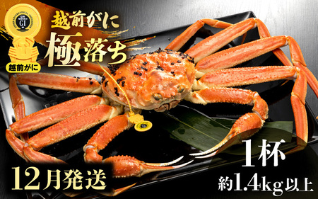 zOɖ{̉zO炨͂I zO l䥂 ɗiŖ1.4kgȏj × 1ty12zH׉|[Iy Jj Izy䌧 zO Y YCKj {C ① zOK