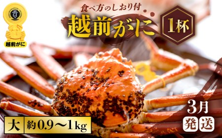 越前がに本場の越前町からお届け! 越前がに 浜茹で 大サイズ(生で約0.9〜1kg) × 1杯[3月発送分]約2人前 食べ応え十分! 食べ方しおり付き[福井県 越前町 雄 ズワイガニ ボイル 冷蔵 ガニ か カニ ずわいがに ずわい蟹 か カニ 蟹]希望日指定可 備考欄希望日をご記入ください [e57-x001_03]