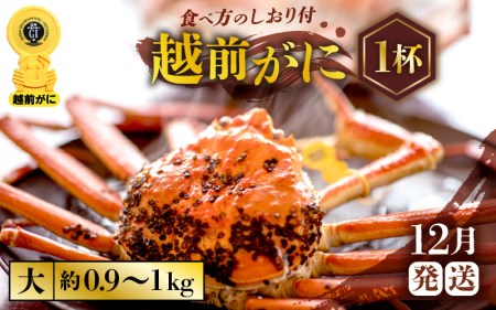 越前がに本場の越前町からお届け! 越前がに 浜茹で 大サイズ(生で約0.9〜1kg) × 1杯[12月発送分]約2人前 食べ応え十分!かにの食べ方しおり付き[かに カニ 蟹][福井県 越前町 雄 ズワイガニ ボイル 冷蔵 ガニ か カニ ずわいがに ずわい蟹 か ]希望日指定可 備考欄希望日をご記入ください [e57-x001_12]