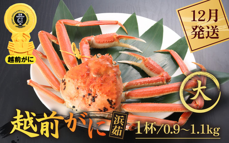 yN12zzOɖ{̉zO炨͂Il䥂ŉzO TCYi0.9`1.1kgj × 1t  [e43-x003_12] Jj  zO zOYCKj zO zOJj p