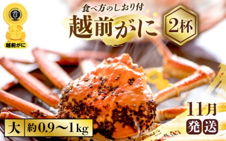 zOɖ{̉zO炨͂IzOɕl䥂őTCYiŖ0.9`1kgj×2ty11z [e57-x002_11] zO Y YCKj {C ① zO zOKj zO zOJj