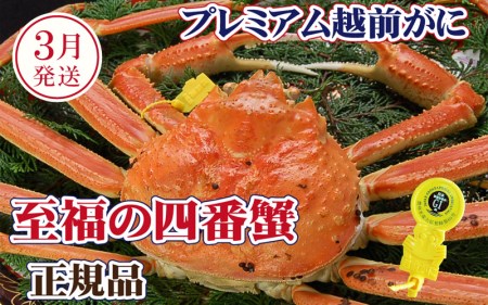 越前がに × 1杯(四番蟹)桐箱入り!至福のプレミアム越前がに[3月発送分][雄 ズワイガニ かに カニ 蟹 姿 生 ボイル 冷蔵 福井県][浜茹でお届け]希望日指定可 備考欄に希望日をご記入ください [e37-x007_03b]