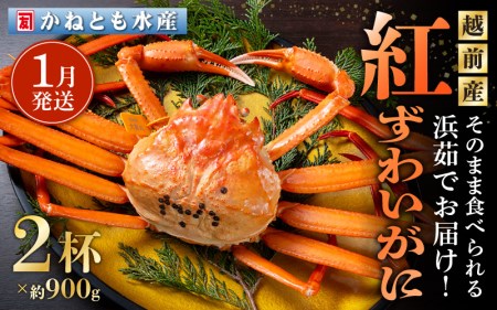 l䥂ŁzOY g킢 900g × 2t Hוty1zygYCKj Jj  I p {C ① 䌧z]ws [e14-x001_01]
