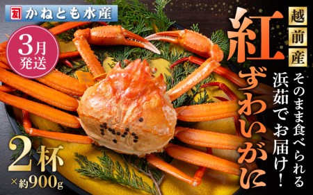 ≪浜茹で≫越前産 紅ずわいがに 約900g × 2杯 食べ方しおり付[3月発送分]希[紅ズワイガニ カニ かに 蟹 姿 ボイル 冷蔵 福井県]望日指定不可 [e14-x001_03]