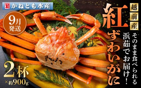 l䥂ŁzOY g킢 900g × 2t Hוty9zygYCKj Jj  I p {C ① 䌧z]ws [e14-x001_09]