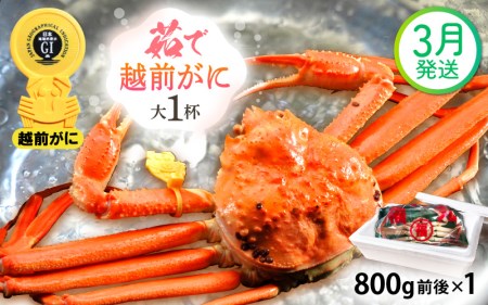 zOɖ{̉zO炨͂I zO l䥂 TCYi800gOj × 1t y3z ɂ̐Hו ɃXv[ty Jj Izy䌧 zO Y YCKj