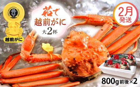zOɖ{̉zO炨͂I zO l䥂 TCYi800gOj × 2t y2z ɂ̐Hו ɃXv[ty Jj Izy䌧 zO Y YCKj
