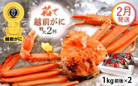 zOɖ{̉zO炨͂I zO l䥂 TCYi1kgOj × 2t y2z ɂ̐Hו ɃXv[ty Jj Izy䌧 zO Y YCKj