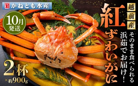 l䥂ŁzOY g킢 900g × 2t Hוty10zygYCKj Jj  I p {C ① 䌧z]ws [e14-x001_10]