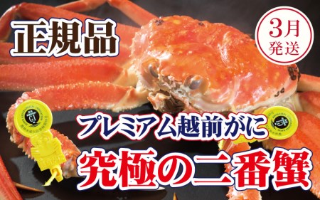 越前がに × 1杯(二番蟹)桐箱入り!究極のプレミアム越前がに[3月発送分][雄 ズワイガニ かに カニ 蟹 姿 生 ボイル 冷蔵 福井県][浜茹でお届け]希望日指定可 備考欄に希望日をご記入ください [e37-x009_03b]