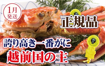 zO × 1tiԊIj˔IzO̎IzOɂ̏ےy1zyY YCKj  Jj I p  {C ① 䌧zyl䥂ł͂z]w lɊ]