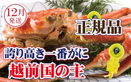 zO × 1tiԊIj˔IzO̎IzOɂ̏ےy12zyY YCKj  Jj I p  {C ① 䌧zyl䥂ł͂z]w lɊ]