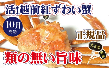 活!越前 紅ずわいがに × 1杯 旨味満点!![10月発送分][紅ズワイガニ 紅ずわい蟹 かに カニ 蟹 姿 生 ボイル 冷蔵 福井県][浜茹でお届け]希望日指定不可 [e37-x002_10b]