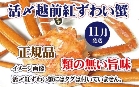 YzO g킢 × 1t |ځIIy11zyl䥂 gYCKj g킢I  Jj I p {C ① 䌧z]ws [e37-x001_11b]