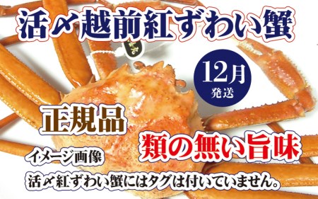 YzO g킢 × 1t |ځIIy12zyl䥂 gYCKj g킢I  Jj I p {C ① 䌧z]ws [e37-x001_12b]