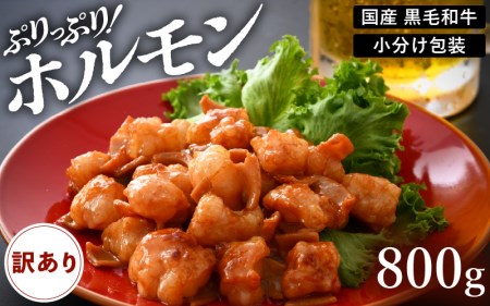 【訳あり】ホルモン  黒毛和牛 800g 特製タレ味付き 国産牛 冷凍  小分け【 小腸 】[e02-a016]