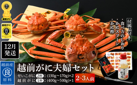 ≪浜茹で≫越前がに夫婦セット（2～3人前）かに酢 食べ方しおり スプーン付き【雄 雌 ズワイガニ 越前ガニ せいこがに 姿 ボイル 冷蔵 かに カニ 蟹 福井県】【12月発送分】希望日指定可 備考欄に希望日をご記入ください [e04-x019_12]