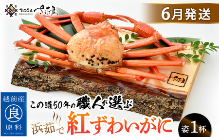  g킢Ɂl䥂Ł × 1t ̓50N̐ElIт܂Iy6zyJj I p ① 䌧zygYCKj g킢I {Cz]w lɊ]L