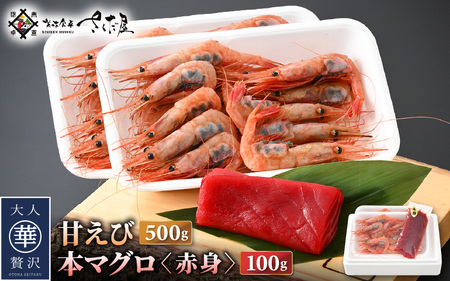 hg Zbg ÊCV 250g × 2P  {܂ Ԑg 100g × 1P y䌧 Ⓚ  hg  Gr CV }O z [e04-a101]