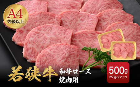 若狭牛 和牛ロース焼肉用 計500g (250g ×2パック)福井県産 ロースA4等級 以上を厳選![牛肉 黒毛和牛 黒毛 和牛 冷凍 小分け バーべキュー グルメ] [e02-c011]