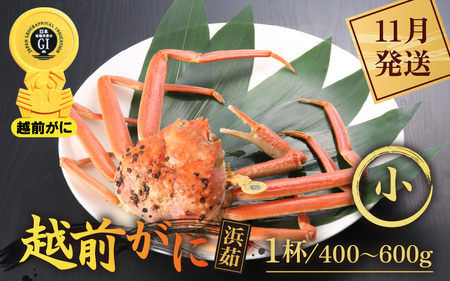 y11zzOɖ{̉zO炨͂Il䥂ŉzO TCYi400`600gj × 1t  [e43-x005_11] Jj  zO zOYCKj zO zOJj p