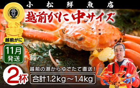 zOɖ{̉zO炨͂IzOɕl䥂ŒTCYi600`700gj×2ty11z [e23-x009_11] zO Y YCKj {C ① zO zOKj zO zOJj