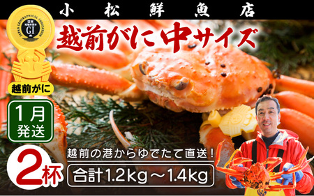 zOɖ{̉zO炨͂IzOɕl䥂ŒTCYi600`700gj×2ty1z [e23-x009_01] zO Y YCKj {C ① zO zOKj zO zOJj