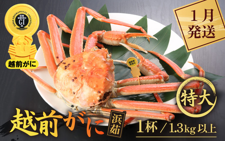 y1zzOɖ{̉zO炨͂Il䥂ŉzO TCYi1.3kgȏj × 1t  [e43-x007_01] Jj  zO zOYCKj zO zOJj p