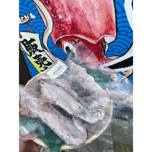お刺身で食べる 天然 ケンサキイカ 約1kg 活きたイカをご提供している漁師が活〆!急速冷凍 鮮度格別! 若狭湾 福井 地物 [m36-b004]