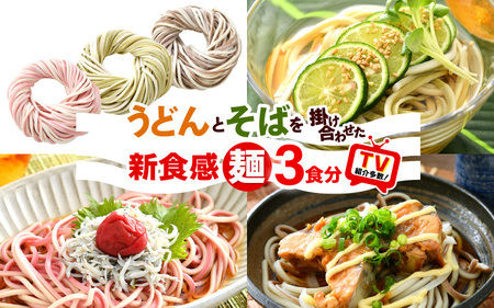福井県 美浜町産 「DUOヌードル」 3個セット[母の日 父の日 プレゼント お祝い 引き出物 お返し ギフト ハレの日 子供の日 お礼 敬老の日 引越し 七夕 年越し お中元 お歳暮][m04-a005]